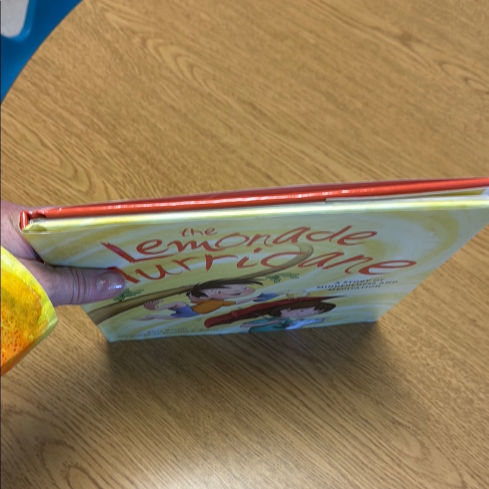 The Lemonade Hurricane Children's Book - Picture 5 of 6